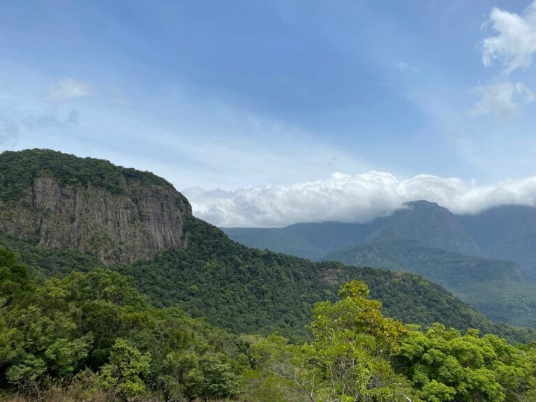 Explorando las tradiciones hondureñas